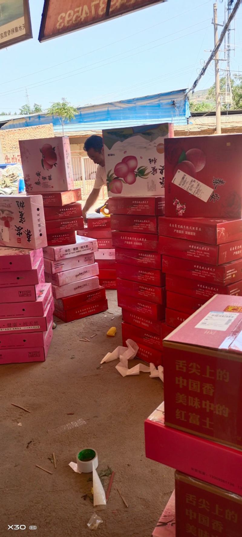 中国蜜桃选甘肃，甘肃蜜桃选秦安“北京七号”