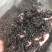 黑蚂蚁红蚂蚂蚁药厂货干货足干货打粉蚂蚁现货交易