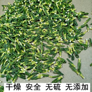 莲子心泡水泡茶正品泡水莲子芯干货非特级莲芯莲子心干货