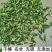 莲子心泡水泡茶正品泡水莲子芯干货非特级莲芯莲子心干货