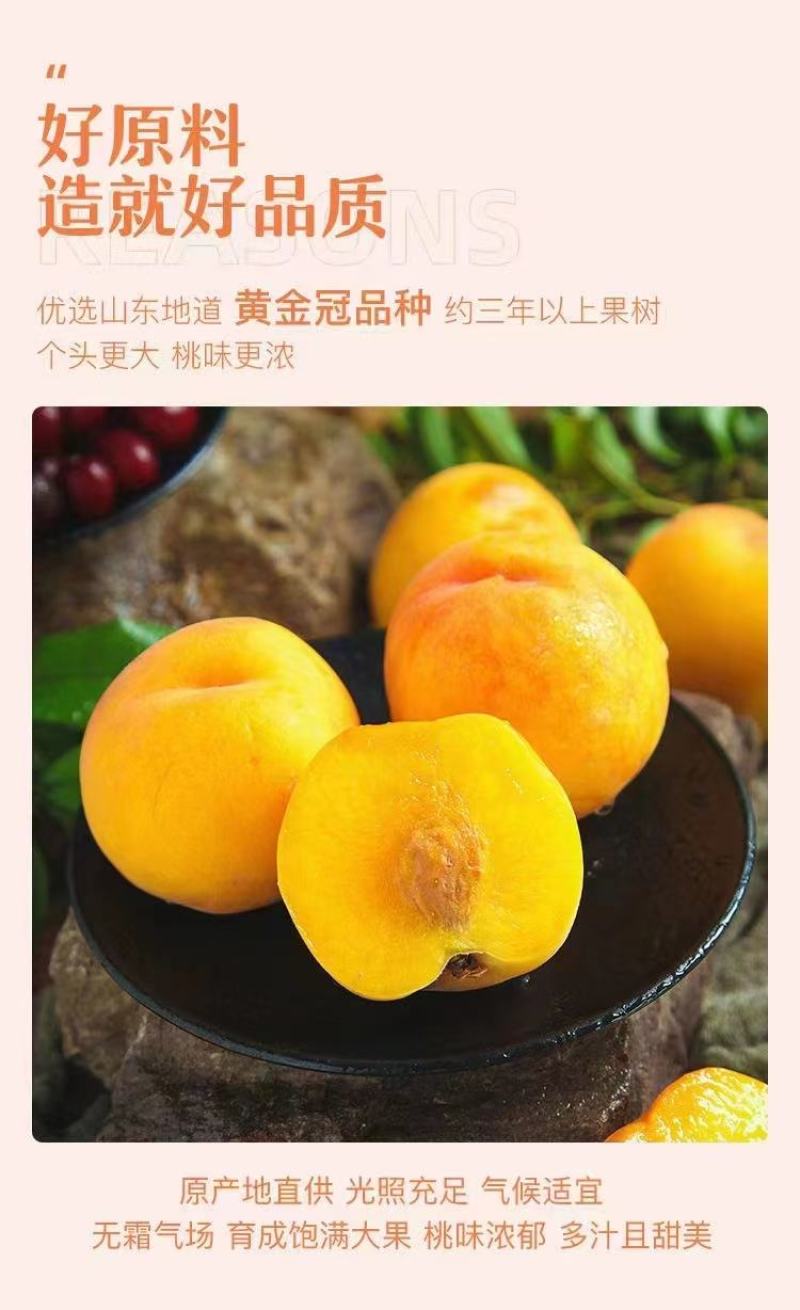 沂蒙特产黄桃干货源充足，一件代发，欢迎各位老板联系我