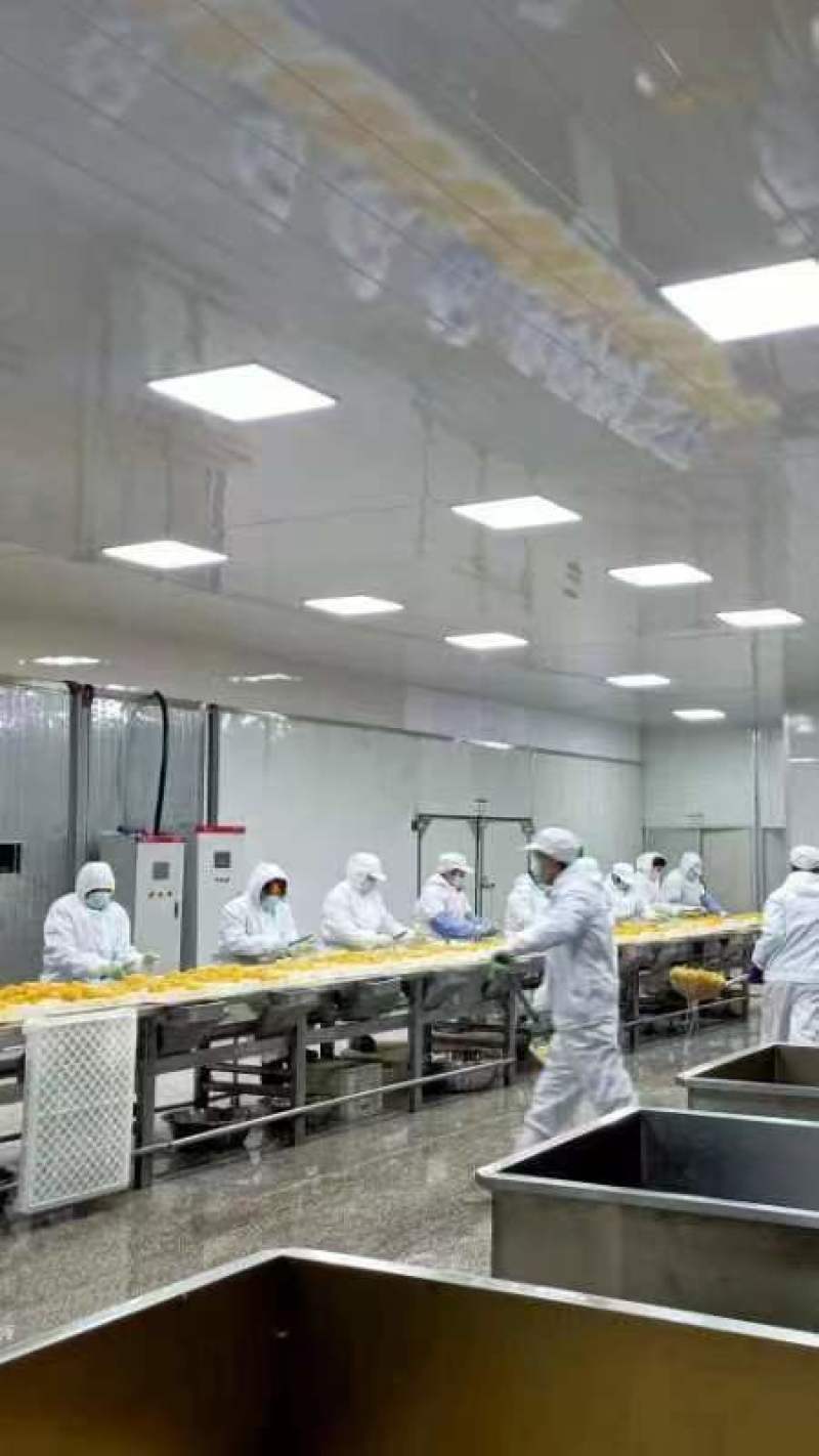 沂蒙特产黄桃干货源充足，一件代发，欢迎各位老板联系我