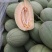 晓蜜25哈密瓜西州蜜哈密瓜产地山东莘县百万亩温室大棚