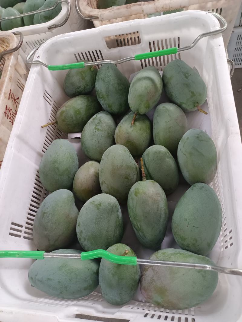 攀枝花凯特芒3/5/9斤一件代发对接电商/微商/直播平台