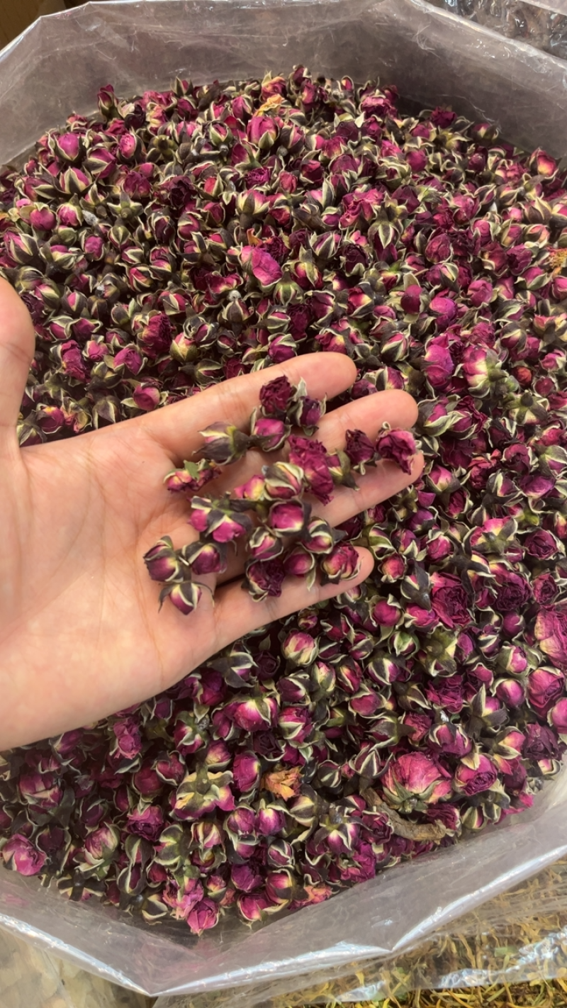 云南金边玫瑰