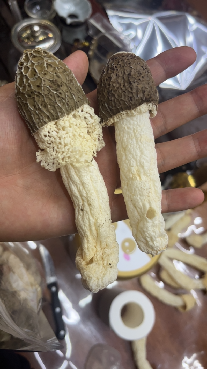 竹荪