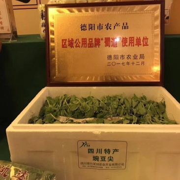 四川特产豌豆尖（龙须菜）