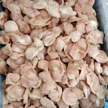 肉鸡胗