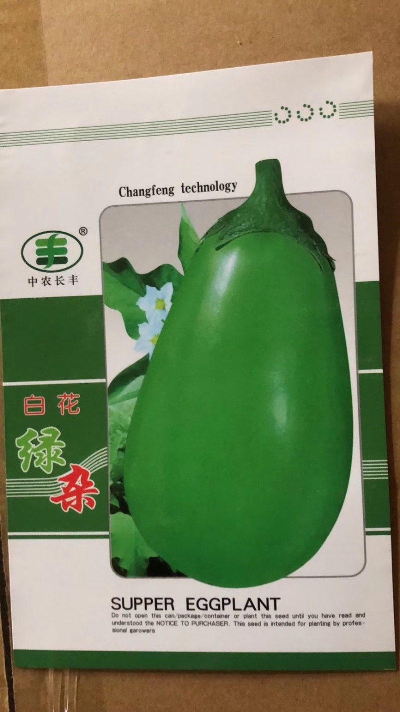 预定青茄子苗紫茄子苗长茄苗绿罐绿王