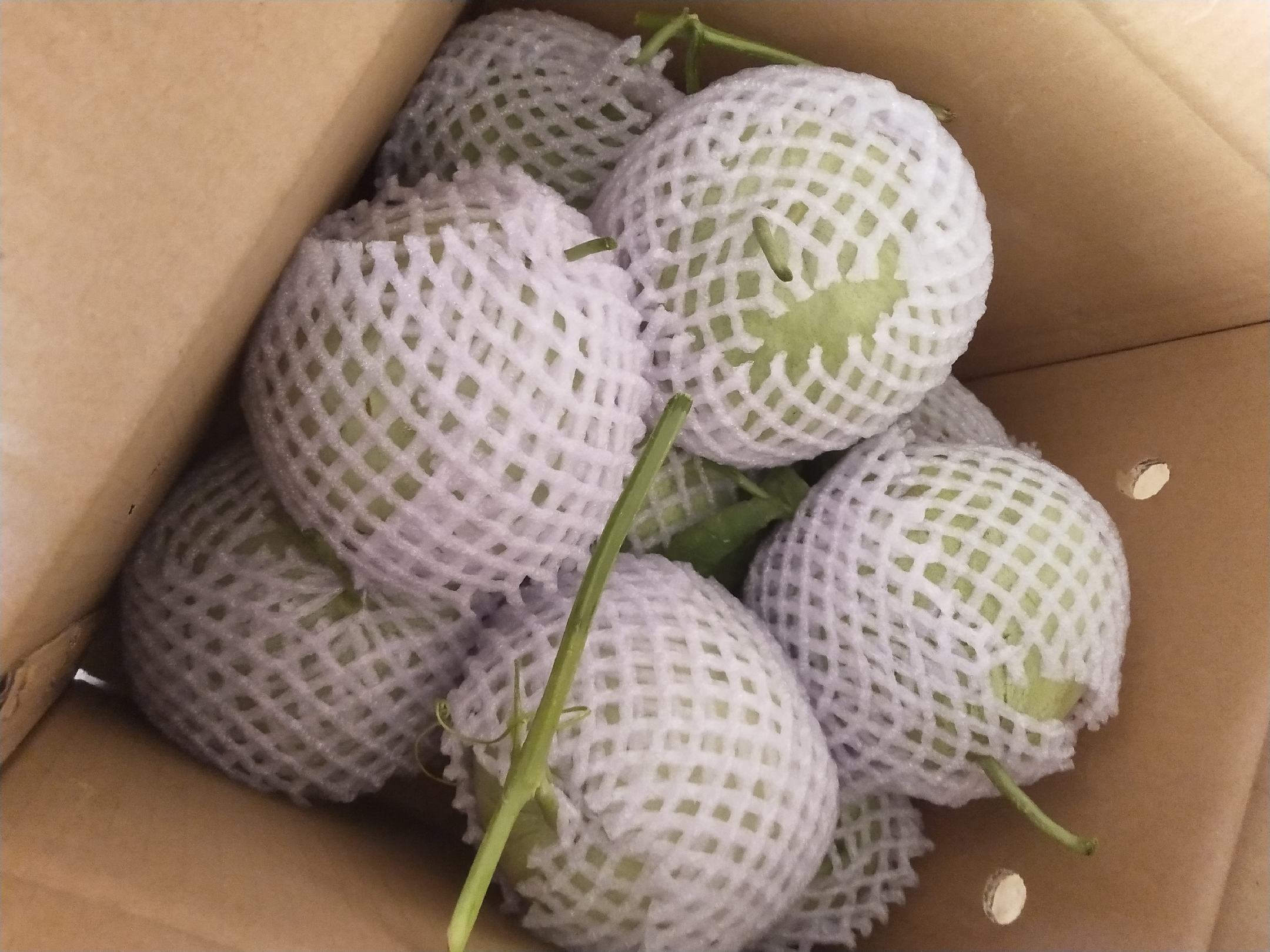 翡翠蜜瓜电商包装展示