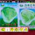 早熟白菜生育期55-60天，早熟、抗病、耐湿耐热适应性强