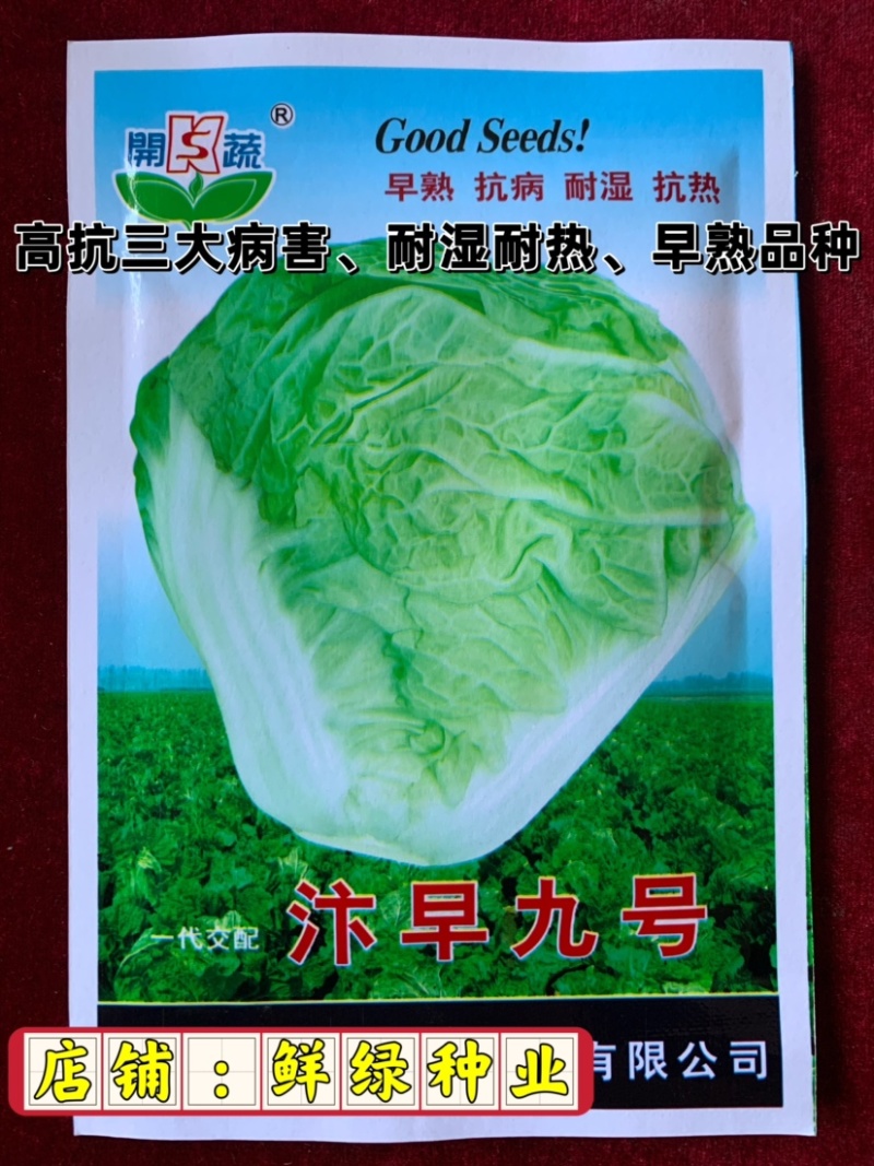 早熟白菜生育期55-60天，早熟、抗病、耐湿耐热适应性强