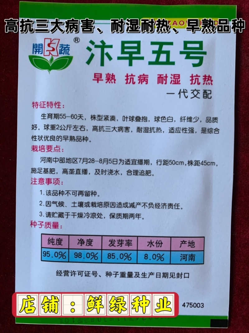 早熟白菜生育期55-60天，早熟、抗病、耐湿耐热适应性强