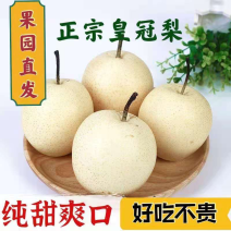 皇冠梨，次皇冠梨大量有货价格便宜一条龙服务可视频看货