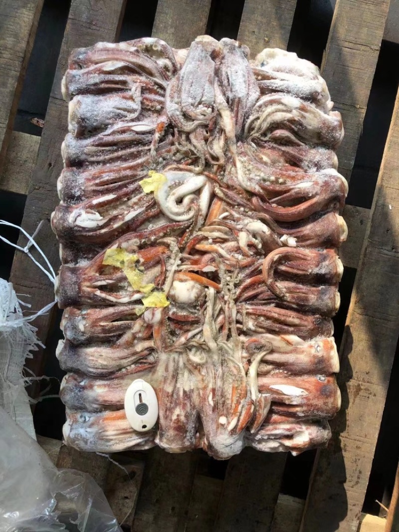 鱿鱼鱿鱼头大鱿鱼大鱿鱼头