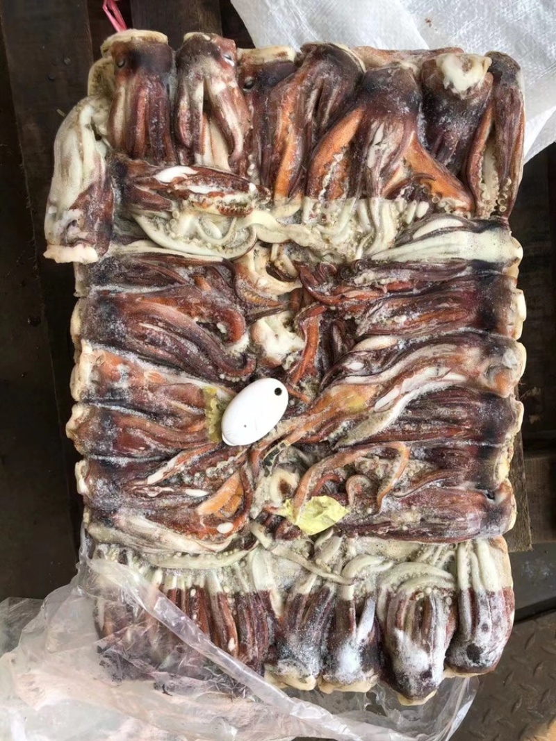 鱿鱼鱿鱼头大鱿鱼大鱿鱼头