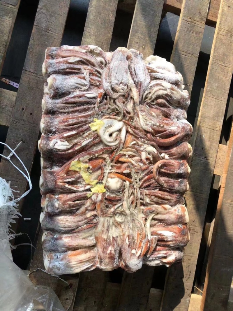 鱿鱼鱿鱼头大鱿鱼大鱿鱼头