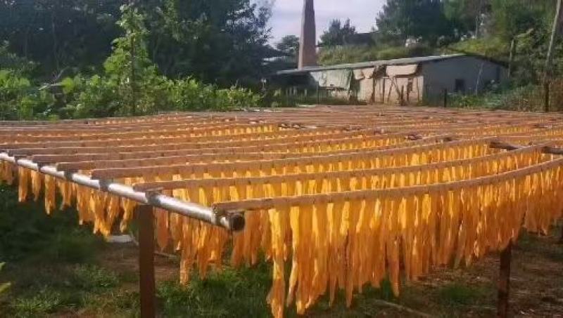 农家黄豆扁腐竹，柴火手工制作，质量保证，广东省内量大包邮