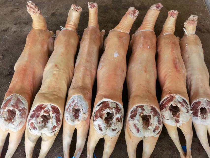 白条羊肉整体展示图