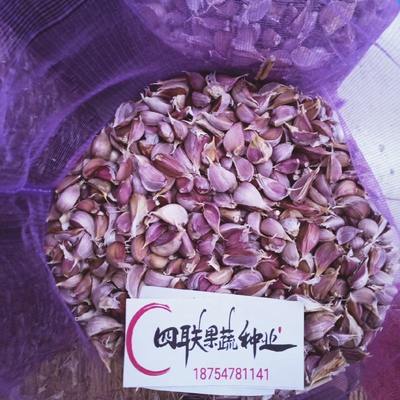 金乡本地大蒜，红皮大蒜，太空大蒜，紫皮大蒜，量大优惠，