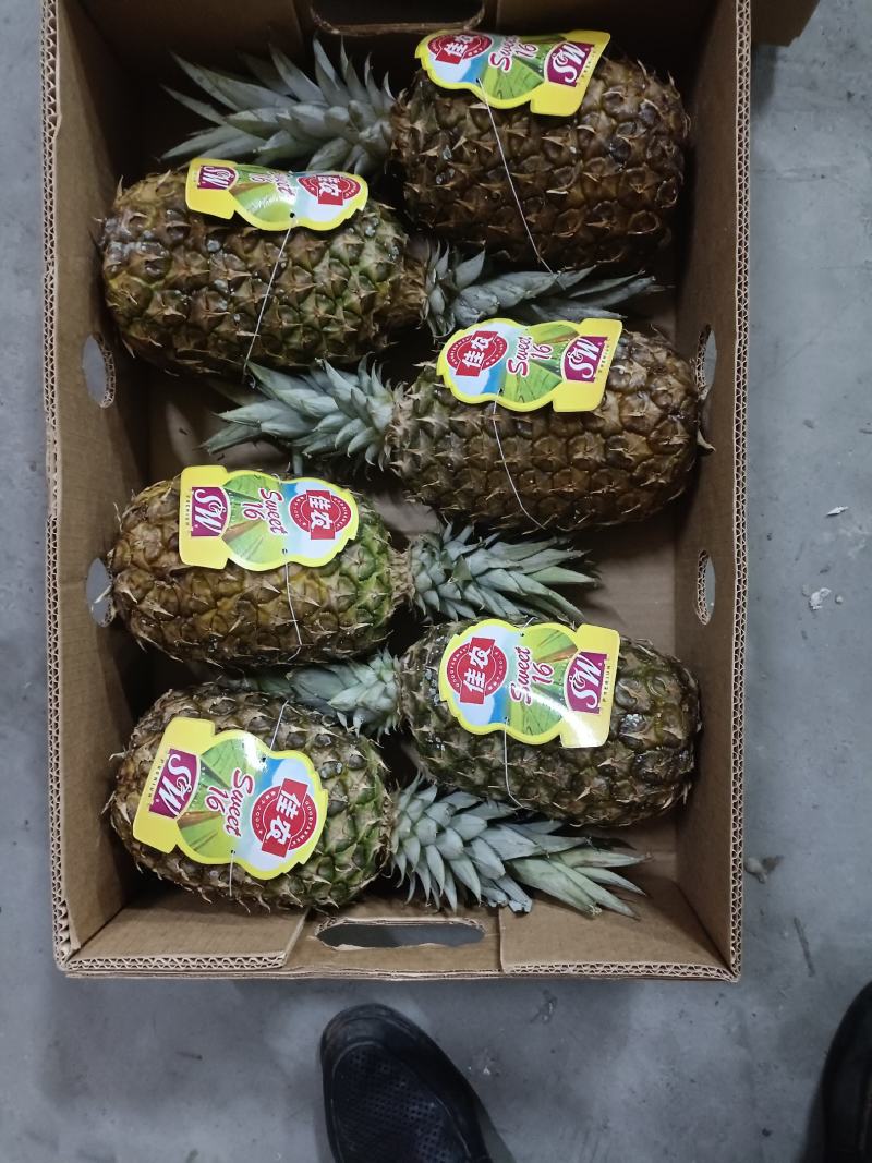 凤梨特价，十元一件