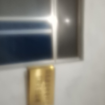 金蝉条