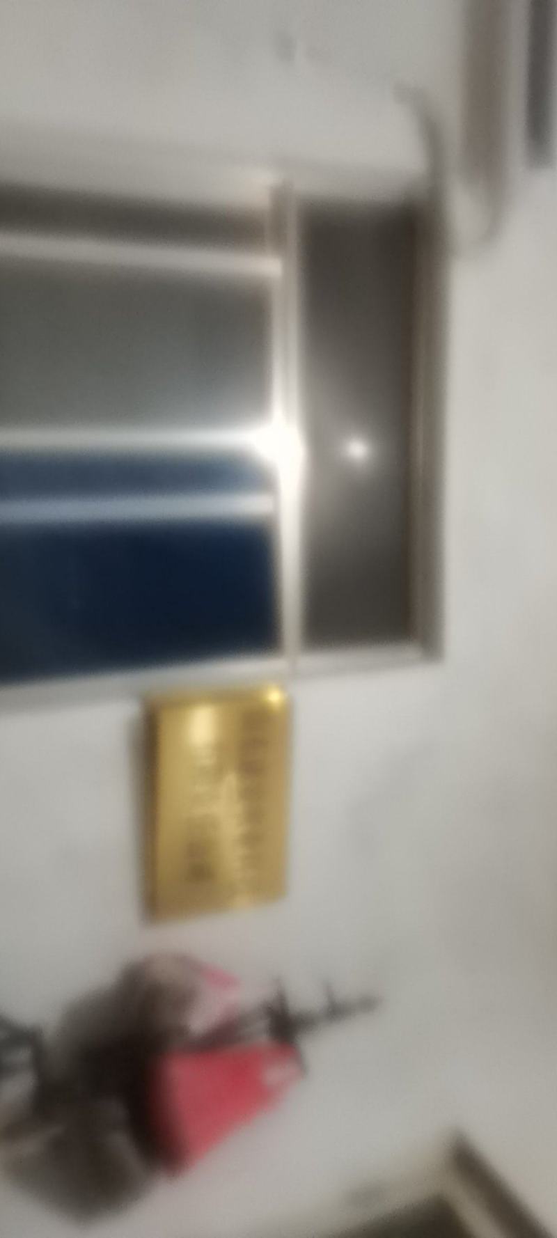 金蝉条