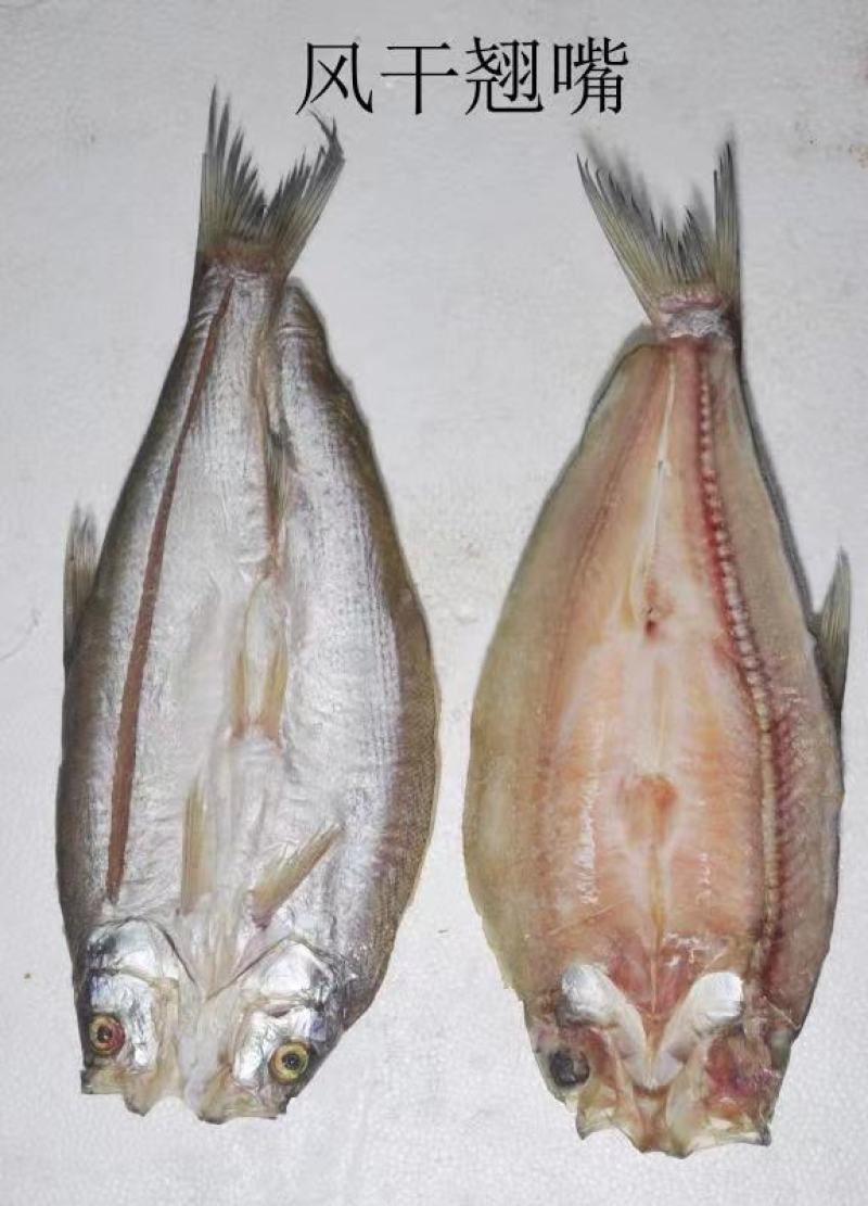 阳干鱼