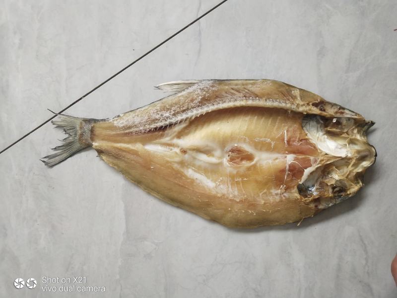 阳干鱼