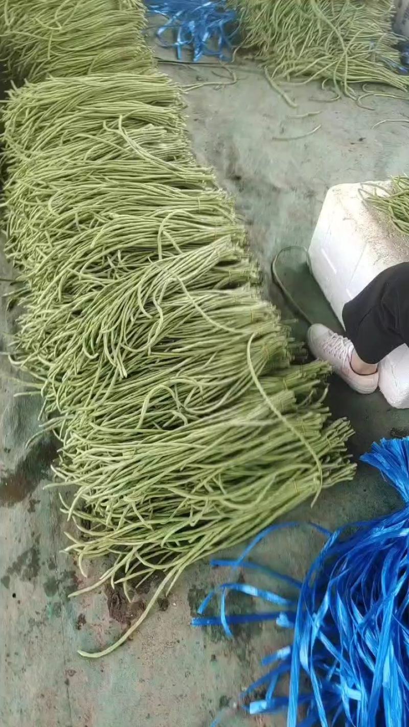【热卖榜单】精品长豆角全国接单货源充足价格美丽