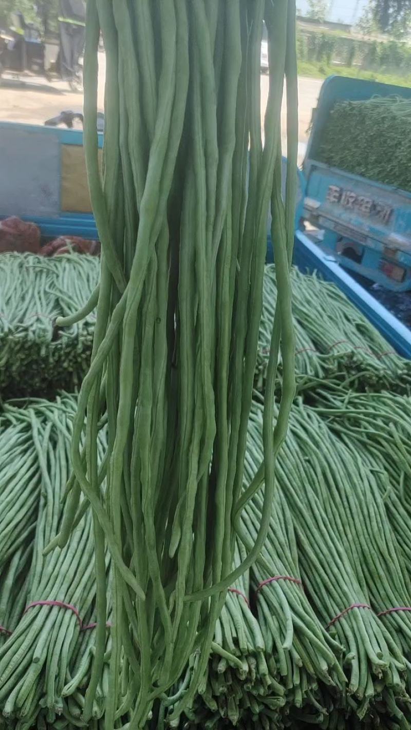 【热卖榜单】精品长豆角全国接单货源充足价格美丽