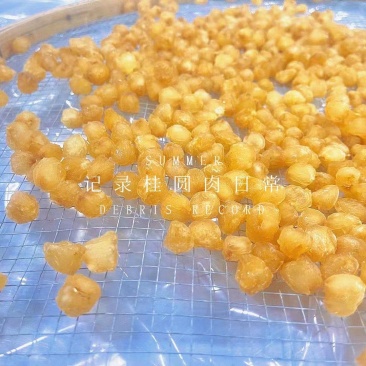广东桂圆