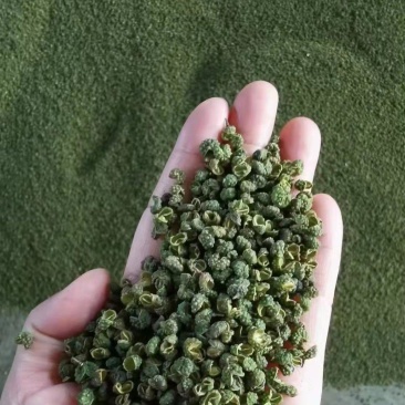 青花椒一手货源，量大从优，产地直销欢迎各位老板来买