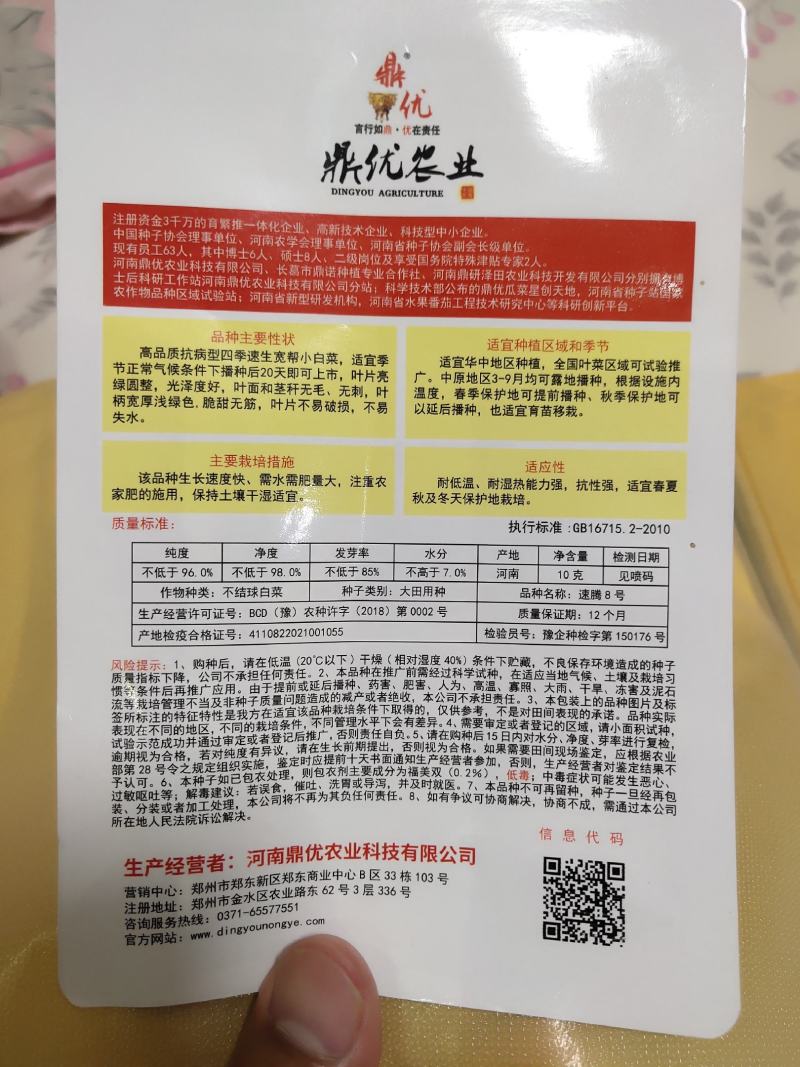 速腾8号四季速生小白菜种子无毛无刺脆甜无筋不易失水耐湿热