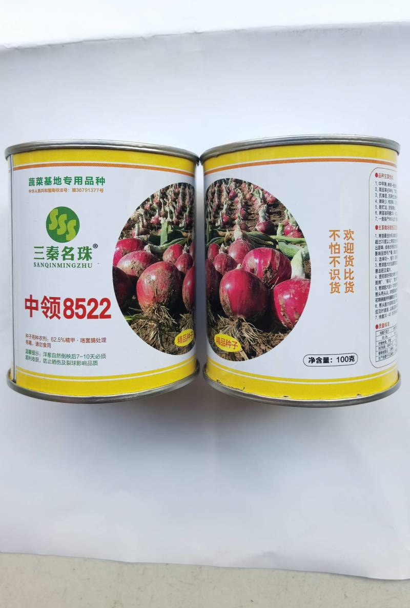 中领8522洋葱种子紫皮扁圆中早熟高产辣甜脆亩产上万斤
