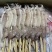 鱿鱼串
