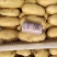 土豆荷兰十五土豆黄皮黄心土豆全国发货