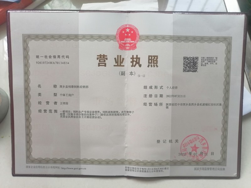 天源一号雀蛋豆外型美观营养丰富是理想的食米豆类