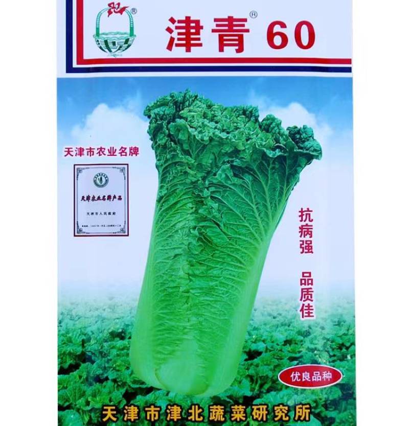 天津青种子津青60大青麻叶种子竹茼青麻叶种子早熟。