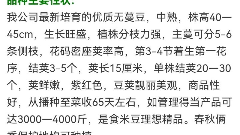 天源一号雀蛋豆外型美观营养丰富是理想的食米豆类
