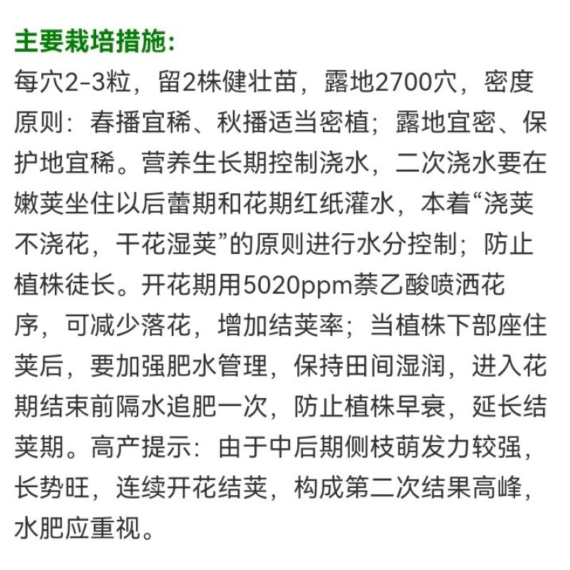 天源一号雀蛋豆外型美观营养丰富是理想的食米豆类
