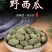 新疆野西瓜干货泡酒料外敷量大可包邮一件代发