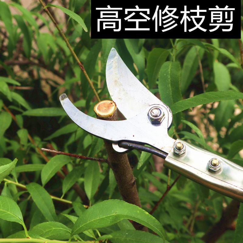 包邮高枝剪修枝剪不锈钢剪刀修剪园林疏花稀果剪枝高空剪高枝