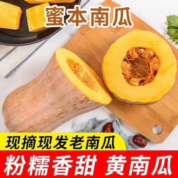 【实力】蜜本南瓜南阳南瓜当季南瓜粉糯香甜货源充足