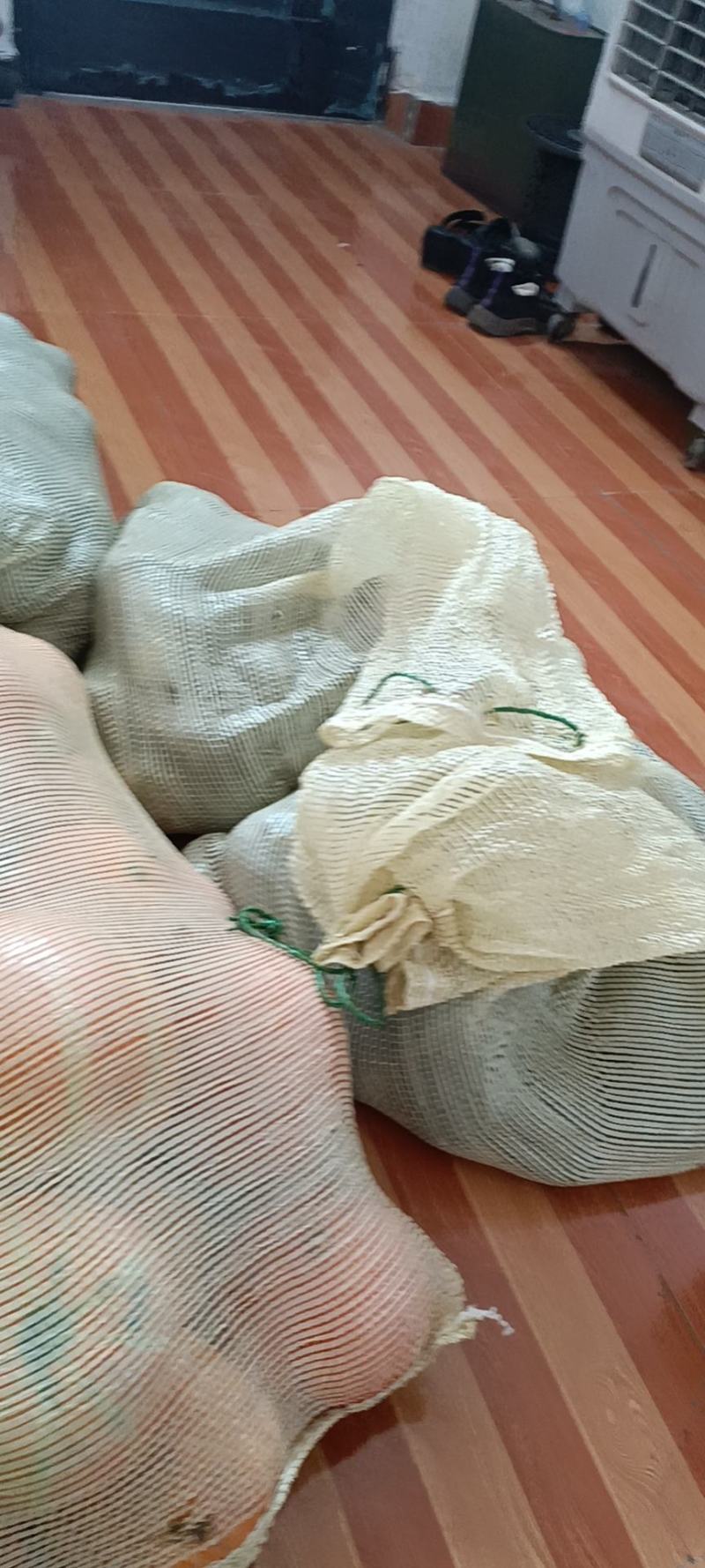 贝贝南瓜