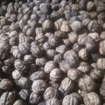 青皮核桃