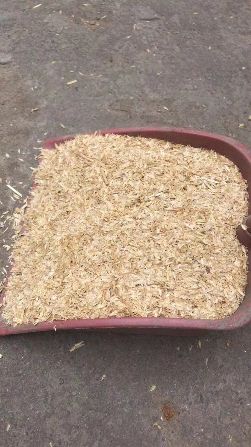 小麦壳，压缩小麦壳，压缩小麦壳大量现货出售