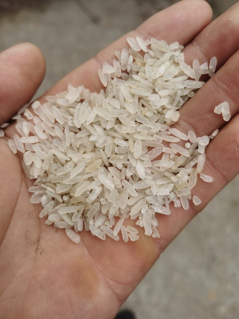 阴米冻米