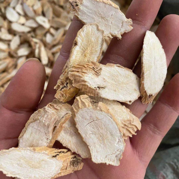无硫中叶/大叶干牛大力气味甘香全粉质干度足