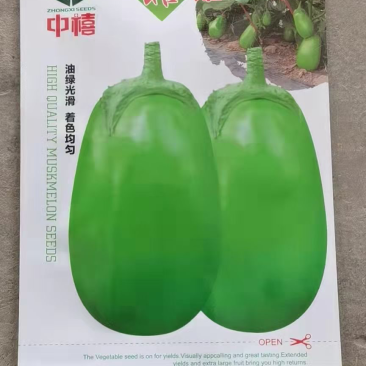精品绿罐茄子种子质量有保障茄子种子绿罐茄子